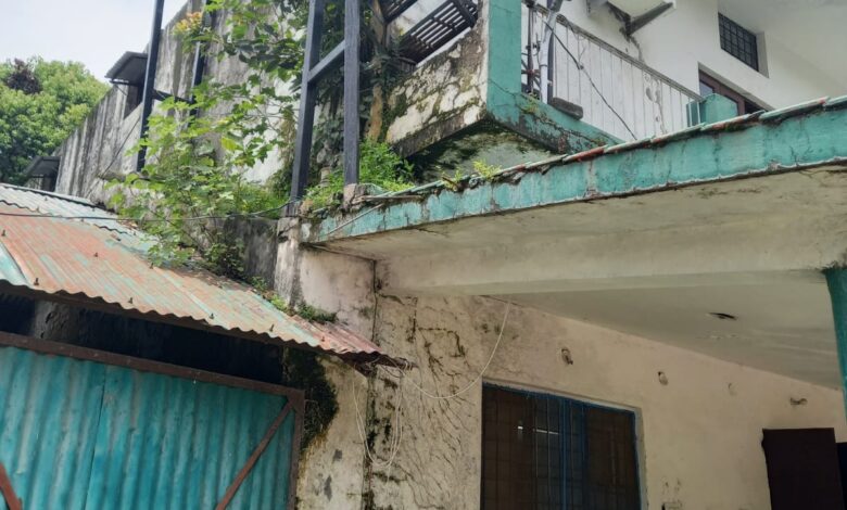 बिल्डिंग पर उगे घास